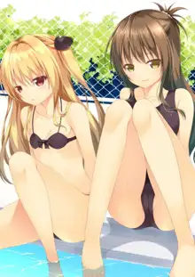 To LOVE-Ru Bon, 한국어