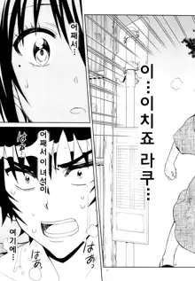 Nisenisekoi 7, 한국어