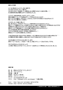 鈴谷とどうする？ナニしちゃう？, 日本語