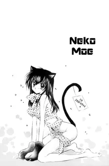 Neko Moe 2 | Cute Cat 2, English