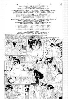 Nisenisekoi 7, English