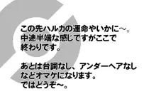 もしもサトシが成長したハルカに出会ったら 差分, 日本語