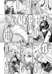 Brandish 3, 中文