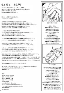 瑞鶴ノ極秘改装, 日本語