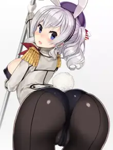 T Toku no Yabou Vol.14 ~Bunny Kashima Hen~ (Kantai Collection -KanColle-) (Individual GIF Animated Frame) 1 of 3, 日本語