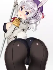 T Toku no Yabou Vol.14 ~Bunny Kashima Hen~ (Kantai Collection -KanColle-) (Individual GIF Animated Frame) 1 of 3, 日本語