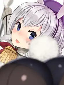 T Toku no Yabou Vol.14 ~Bunny Kashima Hen~ (Kantai Collection -KanColle-) (Individual GIF Animated Frame) 1 of 3, 日本語