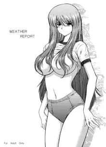 WEATHER REPORT, 中文