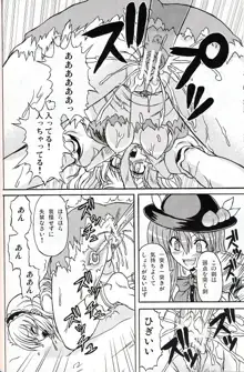 東方妖女乱舞9, 日本語