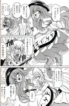 東方妖女乱舞9, 日本語