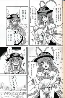 東方妖女乱舞9, 日本語