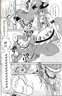 東方妖女乱舞9, 日本語