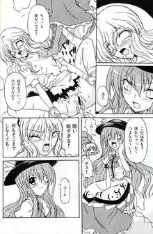 東方妖女乱舞9, 日本語