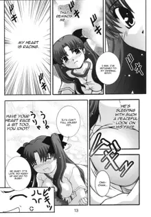 SECRET FILE NEXT 11 - Fate is capricious, English