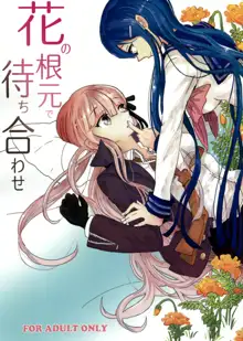 Hana no Nemoto de Machiawase, 中文