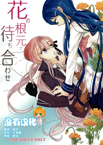 Hana no Nemoto de Machiawase, 中文