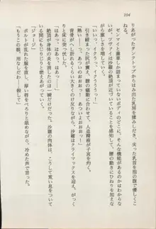 トレジャーハンター沙羅 禁断の魔淫玉, 日本語