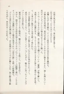 トレジャーハンター沙羅 禁断の魔淫玉, 日本語