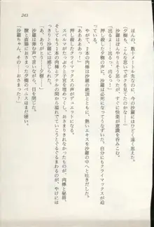 トレジャーハンター沙羅 禁断の魔淫玉, 日本語