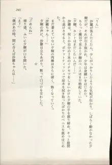 トレジャーハンター沙羅 禁断の魔淫玉, 日本語