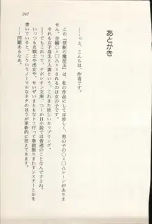 トレジャーハンター沙羅 禁断の魔淫玉, 日本語