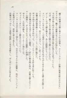 トレジャーハンター沙羅 禁断の魔淫玉, 日本語