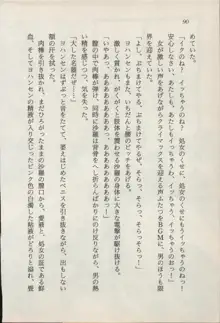 トレジャーハンター沙羅 禁断の魔淫玉, 日本語