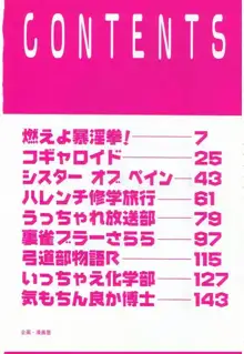 燃えよ暴淫拳！, 日本語