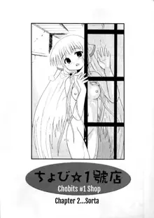 Chobi ☆ Ichigoten | Chobits #1 Shop, English