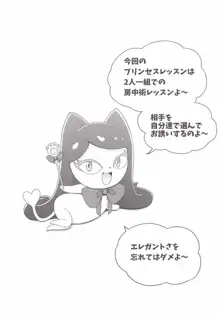 Go! みなきらプリンセスレッスン!, 日本語