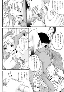 元気っ娘4, 日本語