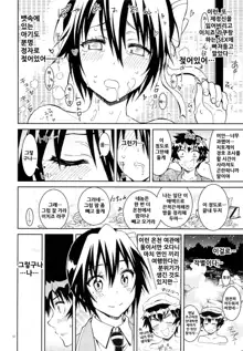 Nisenisekoi 6, 한국어