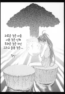 SILENT BELL aberration, 한국어