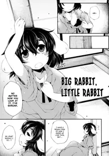 Ookina Usagi Chiisana Usagi | Big Rabbit, Little Rabbit, English