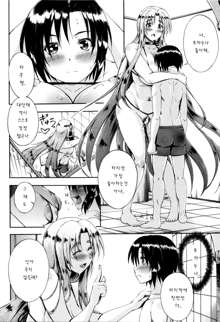 Onee-chan Sensei no Himitsu Jugyou, 한국어