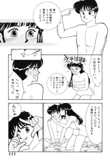 制服の秘密, 日本語