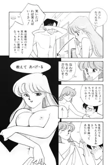 制服の秘密, 日本語