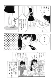 制服の秘密, 日本語