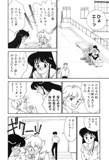 制服の秘密, 日本語