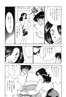 制服の秘密, 日本語