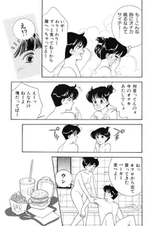 制服の秘密, 日本語