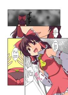 Touhou TS Monogatari ~Reimu Hen~, 中文