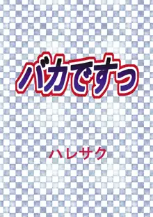 バカですっ, 日本語