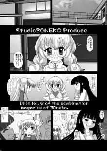 NEKOラボ 2, 日本語