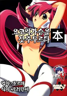 Yoko no Chichi wo Momishidaku Hon | 요코의 가슴을 짓주무르다 本, 한국어