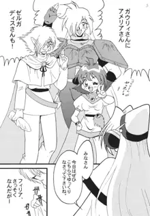 SLAYERS ADULT 8, 日本語