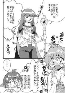 SLAYERS ADULT 9, 日本語