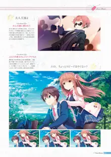 恋×シンアイ彼女 ビジュアルファンブック, 日本語