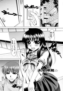 エロカワ嬲られっ娘, 日本語