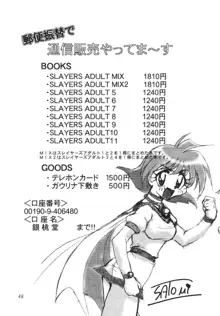 SLAYERS ADULT 11, 日本語